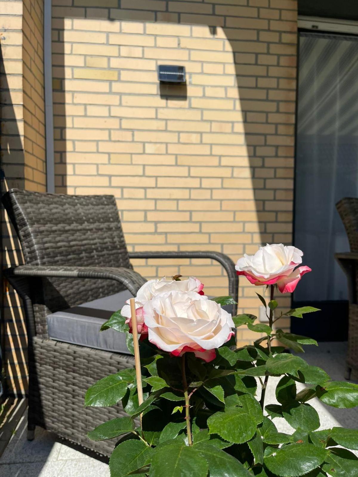 Ferienwohnung Strandoase Inklusive Terrasse Und Parkplatz - Sonnenseite Scharbeutz Eksteriør billede